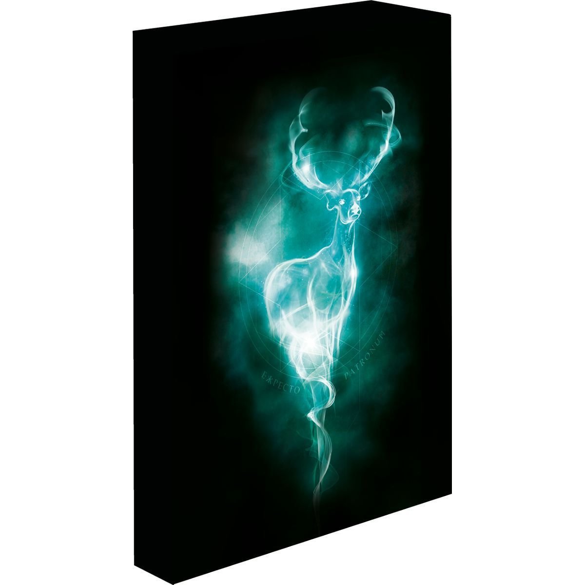 Obraz LED svítící 30x40